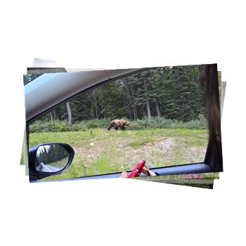 Click to open "Banff National Park, Canada, August 2016"