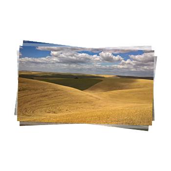 Click to open "Walla Walla, Steptoe Butte, Washington, July 2016"