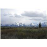 Teton, Yellowstone, May 2013 295