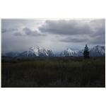 Teton, Yellowstone, May 2013 297